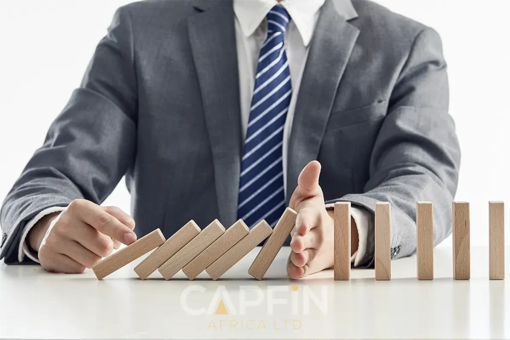 Capfin Africa Ltd Insurance Core Values